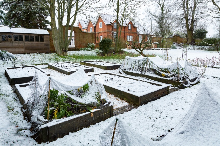 6 conseils pour préparer son jardin en permaculture pour l’hiver 
