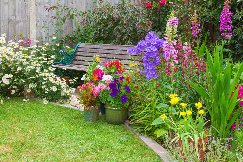 Comment se protéger des plantes toxiques de son jardin ?