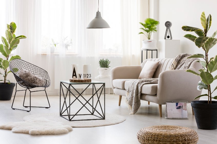 10 des meilleures plantes dépolluantes d’intérieur à mettre chez vous