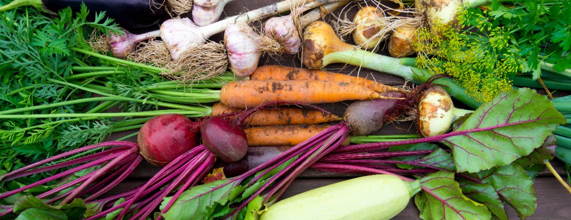 Compagnonnage dans le potager : pourquoi bien associer plantes et légumes ?