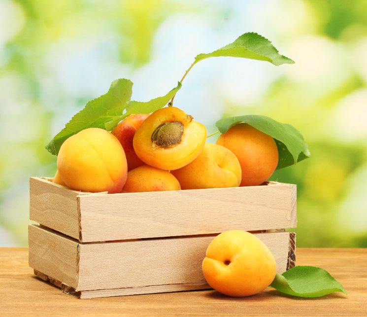 5 avantages et bienfaits de l’abricot, un fruit d’été