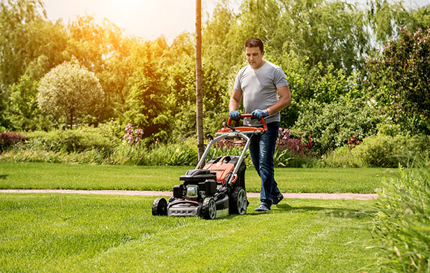 6 conseils pour réussir la première tonte de gazon au printemps