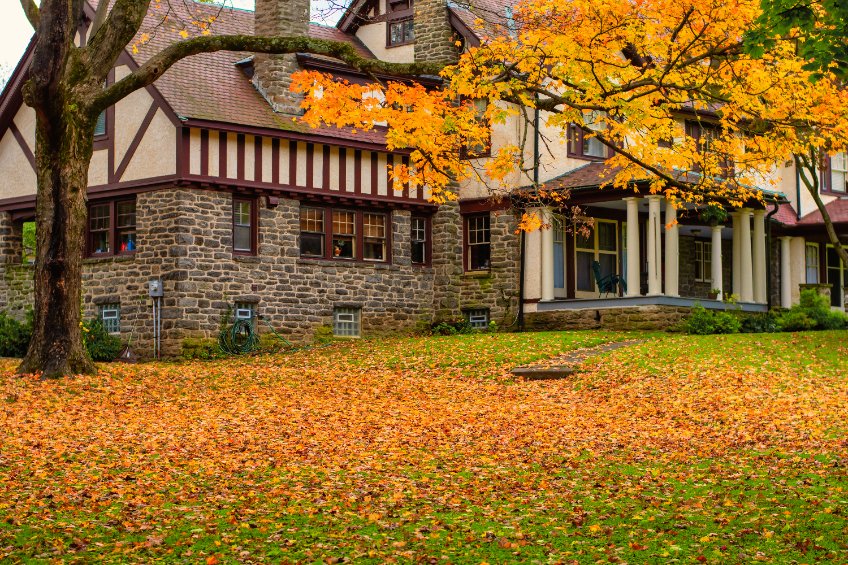 5 conseils pour entretenir sa pelouse en automne