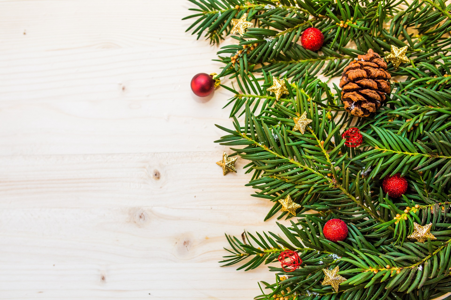 Comment choisir son sapin de Noël ?