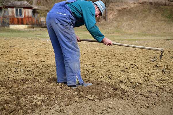 Comment biner son jardin et son potager efficacement ? – 4 conseils 