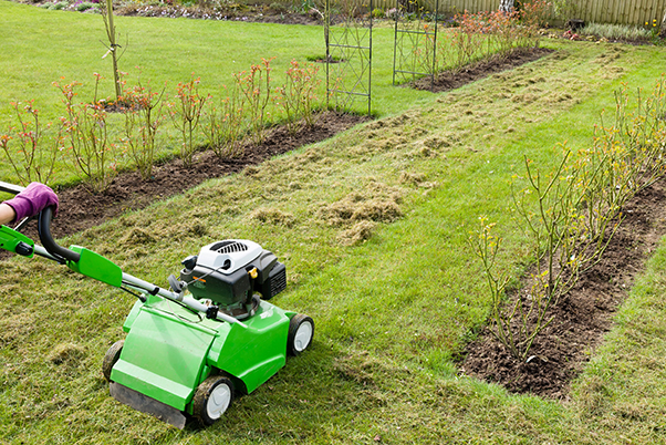 Comment scarifier sa pelouse ? – 5 conseils pour réussir