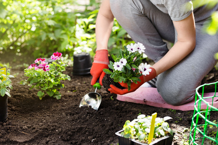 Préparer son jardin au printemps
