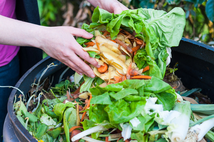 Les 4 différents types de compost