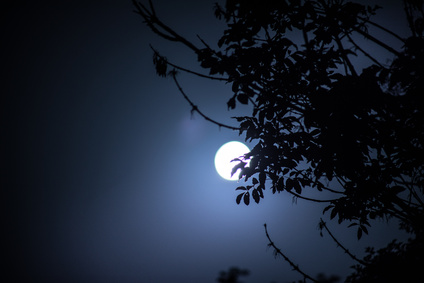 JARDINER AVEC LA LUNE ROUSSE !