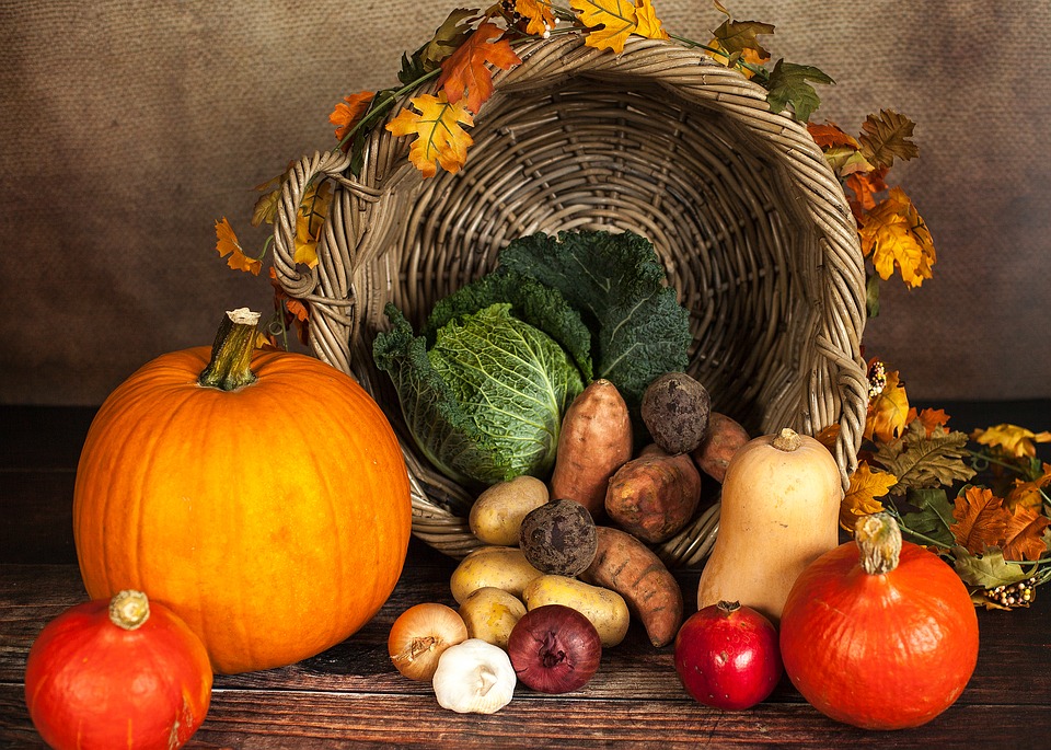FRUITS & LÉGUMES DE SAISON POUR L'AUTOMNE