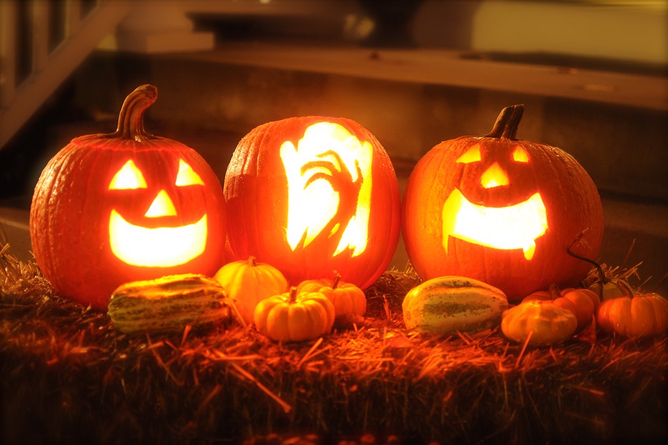 10 PLANTES QUI FONT PEUR POUR HALLOWEEN