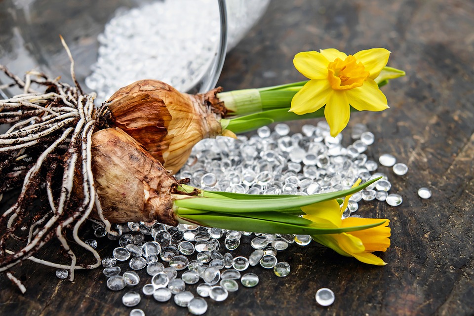 LES BULBES DE PRINTEMPS À PLANTER