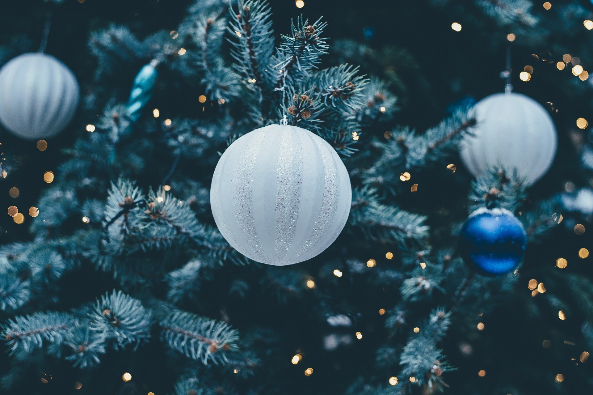 DÉCORER SON JARDIN POUR NOËL
