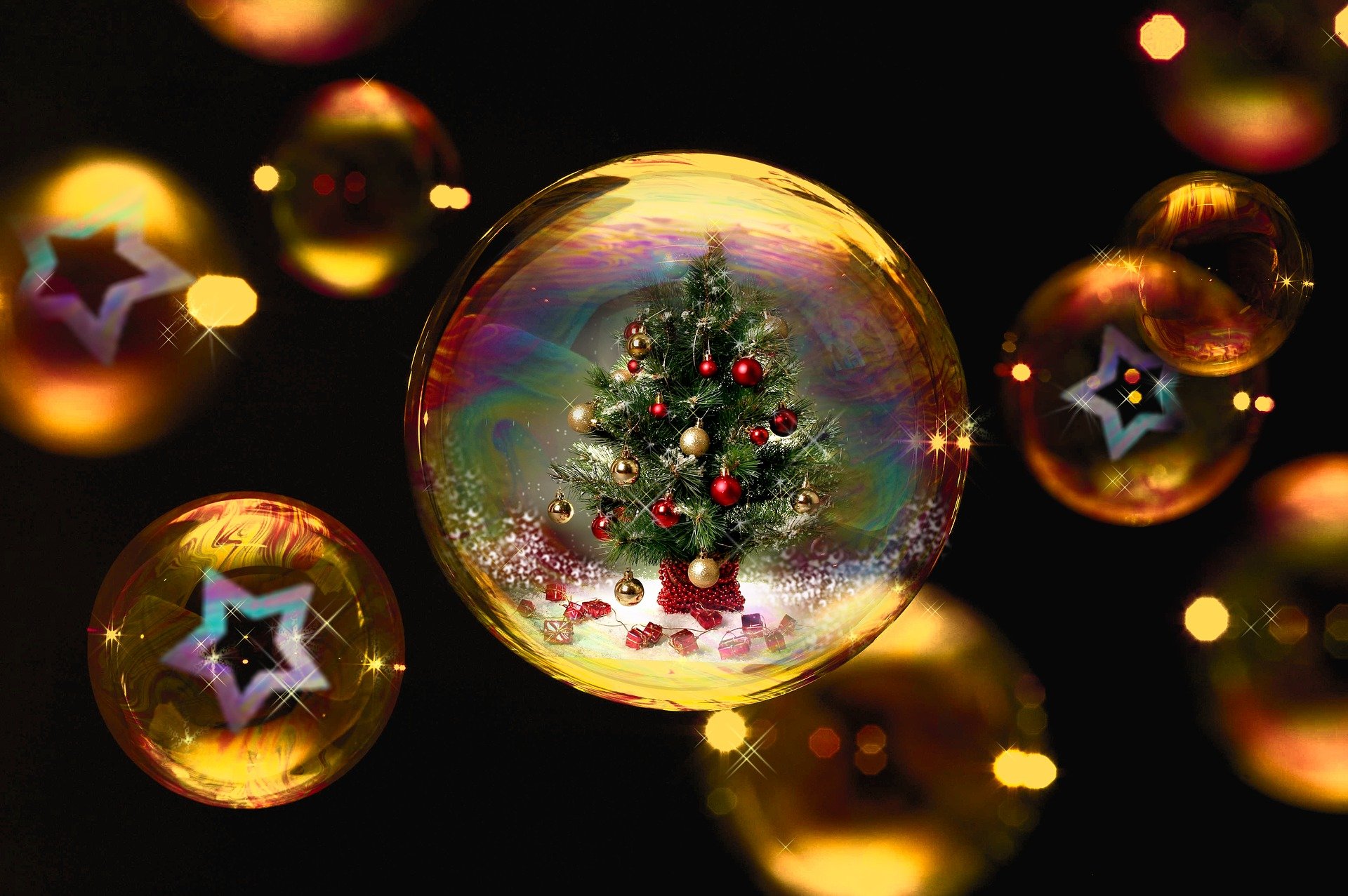 LES PLUS BEAUX SAPINS DE NOËL DU MONDE
