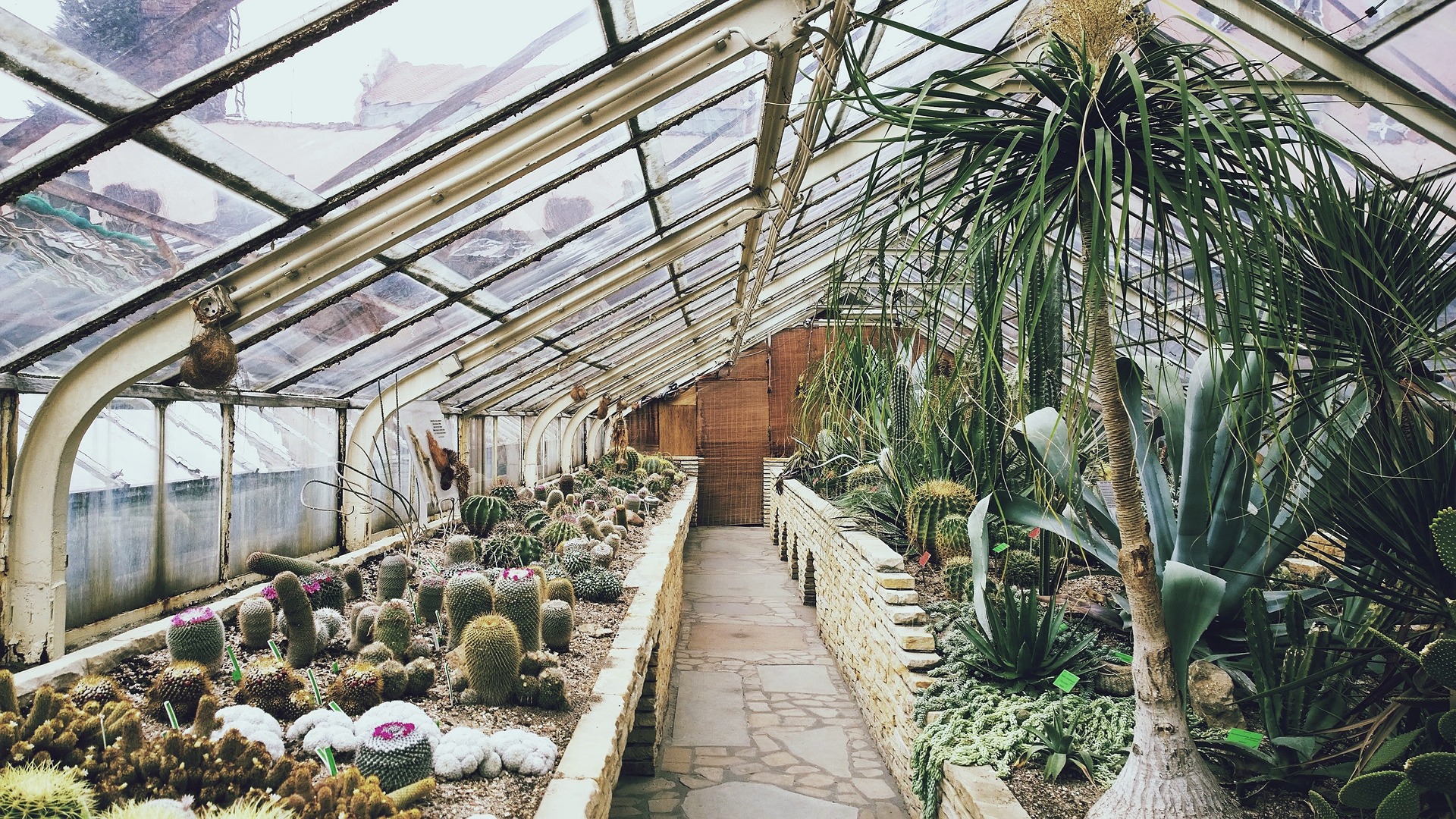 COMMENT FABRIQUER UNE SERRE DE JARDIN ?